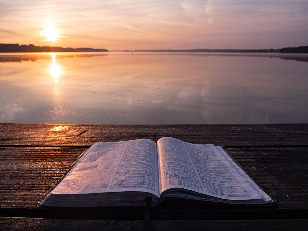Bíblia - Elementos do Curso - Crescendo na Vida e na Fé